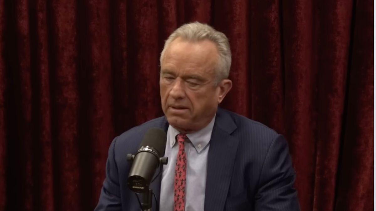 Photo of Robert F. Kennedy Jr.