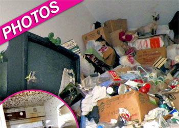 //hoarder las vegas ap