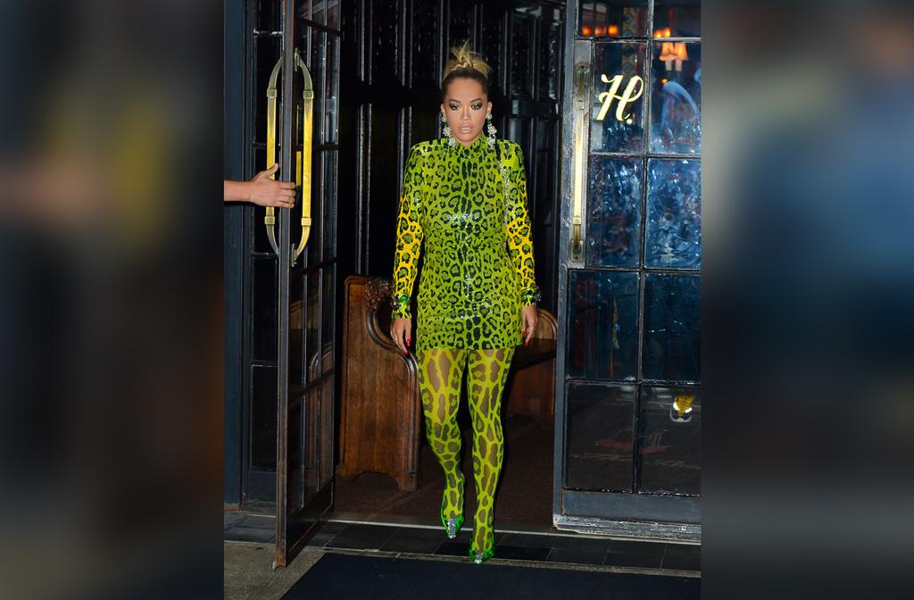 Rita Ora Rocks Green Leopard-Print Bodysuit-Like Outfit