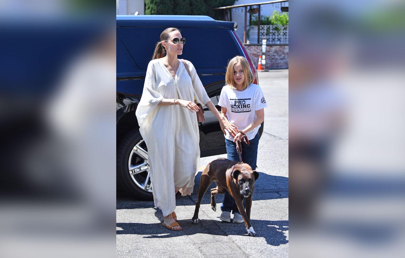 Angelina Jolie and Vivienne Jolie-Pitt head to a dog supply store in Los Angeles.