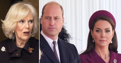 queen camilla icing out william kate king charles coronation