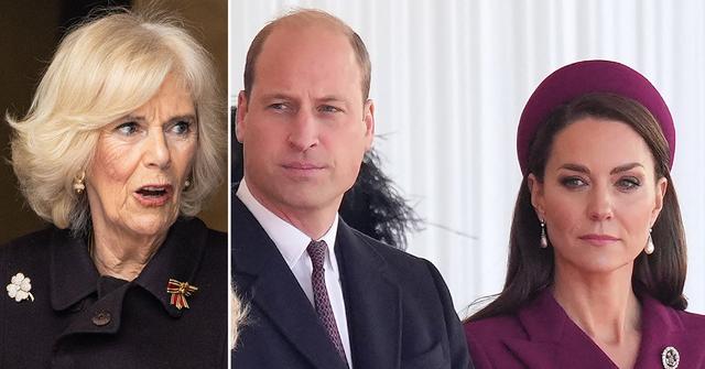 queen camilla icing out william kate king charles coronation