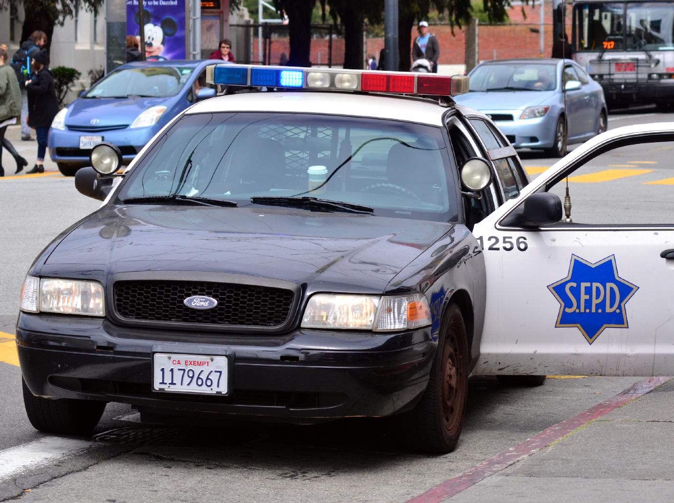 police car gallery pic