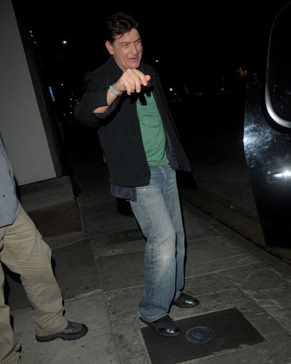 Charlie Sheen & Denise Richards Out In LA