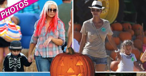 //celebs at pumkin patch fame flynet wenn pcn