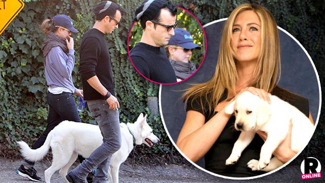 Jennifer Aniston Justin Theroux Wedding Dogs