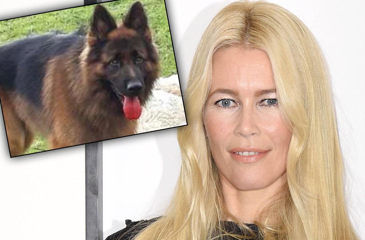 Claudia Schiffer | Radar Online