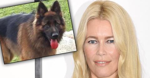 Claudia Schiffer Dog Kills Sheep Covered Blood