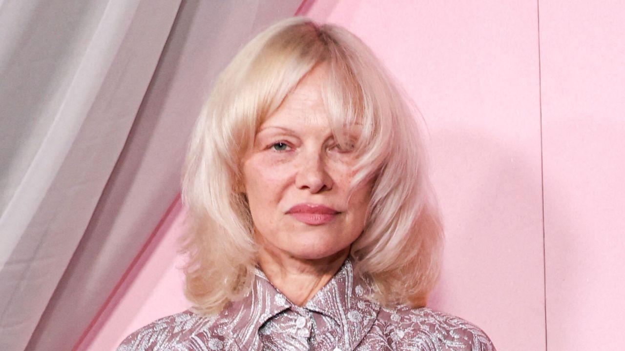 picture of pamela Anderson