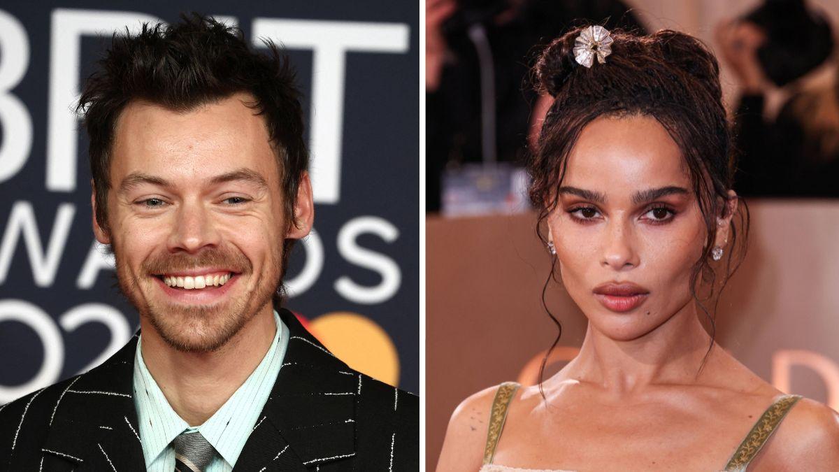 Harry Styles' friends allegedly fear he is moving too fast with Zoë Kravitz romance.