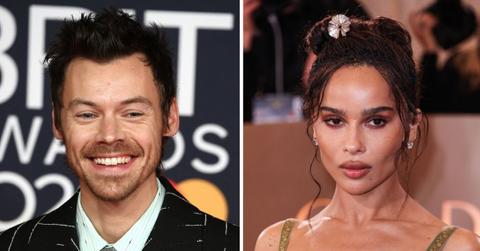 Harry Styles' friends allegedly fear he is moving too fast with Zoë Kravitz romance.
