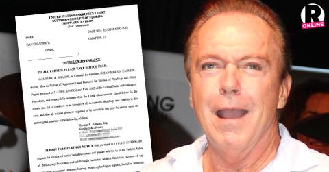 David Cassidy Bankruptcy Wife