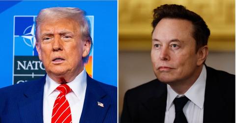 Split photo of Donald Trump, Elon Musk