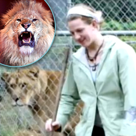 //intern killed lion