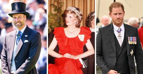 Photos of Princess Diana, Prince William and Harry