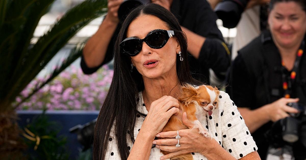 demi moore ditching dating scene actress opting to spend time with her pets