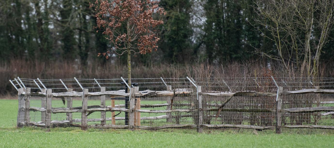 The Beckhams Turn British Country House Into Fortress