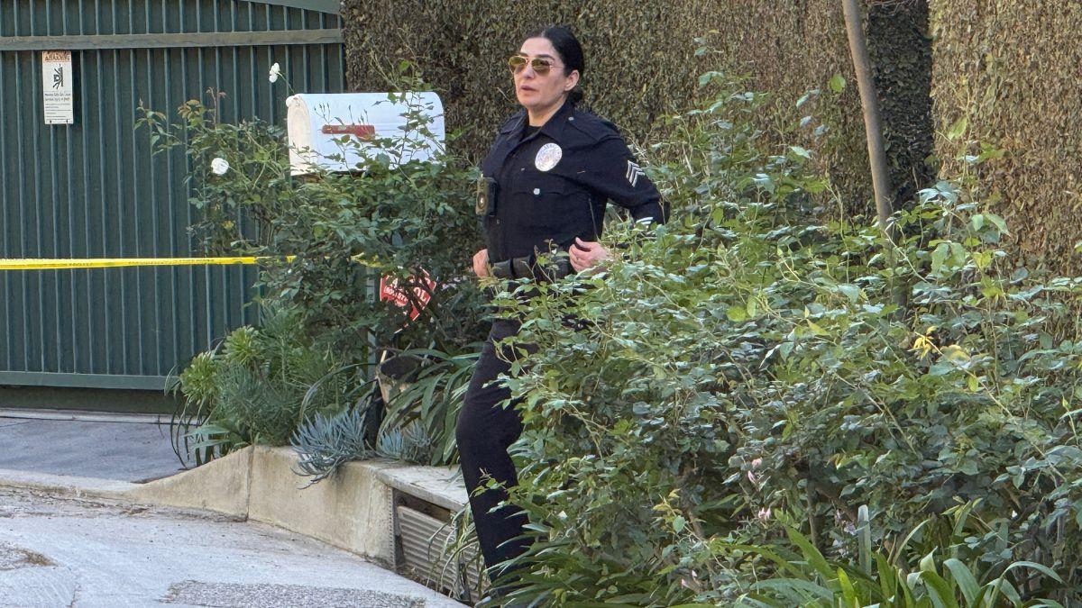 picture of cop outside Rihanna street