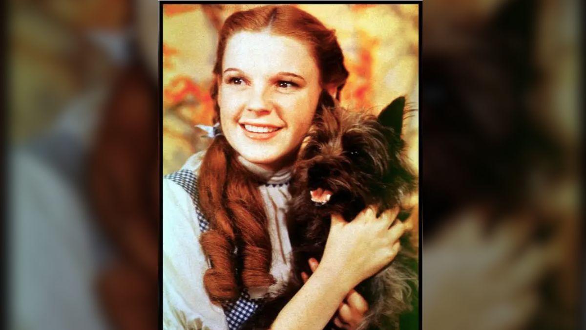 Judy Garland landed the role of Dorothy in 'The Wizard of Oz' after Shirley Temple's studio declined to release her for the film.