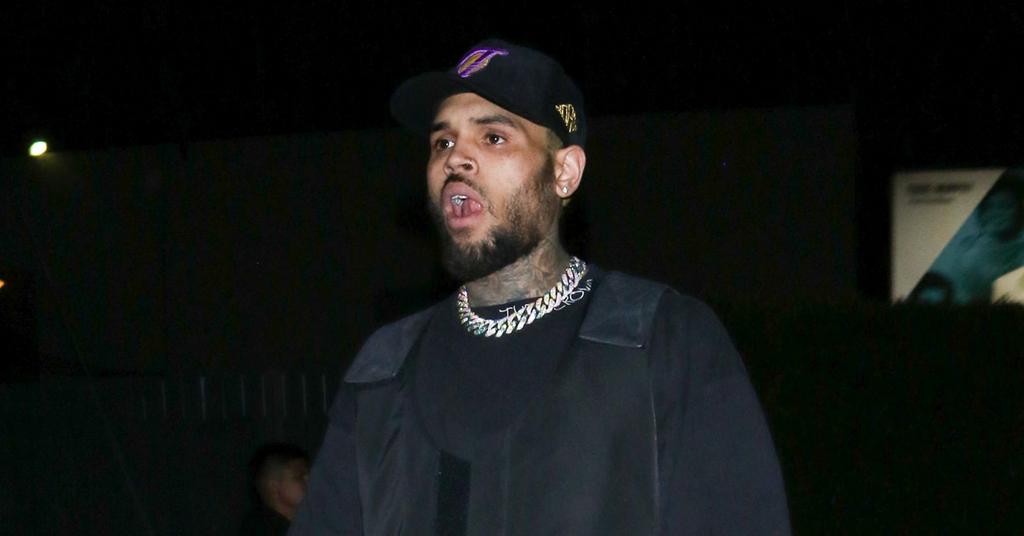 Chris Brown's Ex-Housekeeper Demands $1 Million Over Vicious Dog Attack