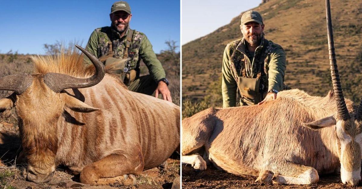 Split photos of Jay Cutler