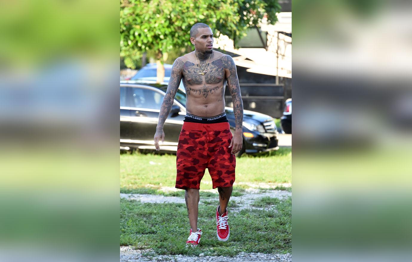 chris brown cops called to la mansion man spits on security