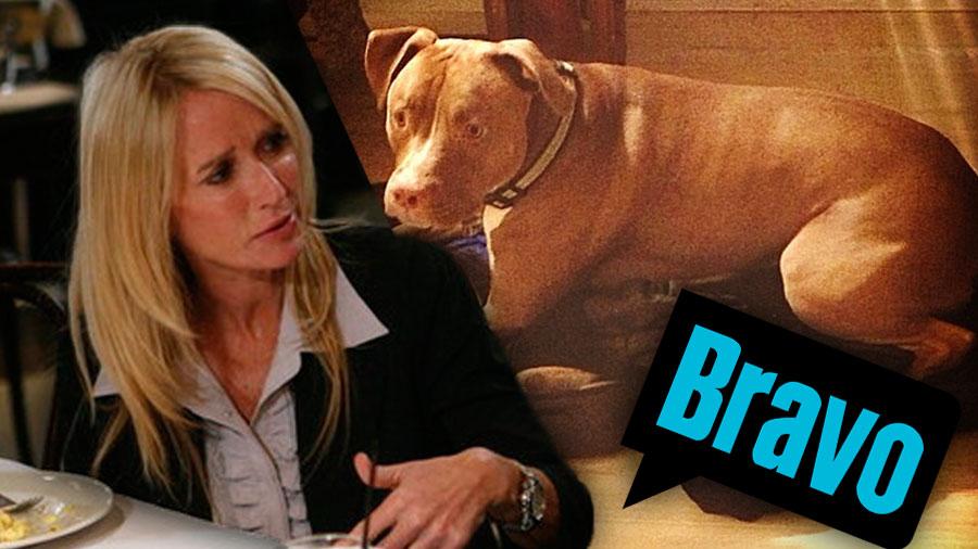 Kim Richards Lawsuit Dog Attack