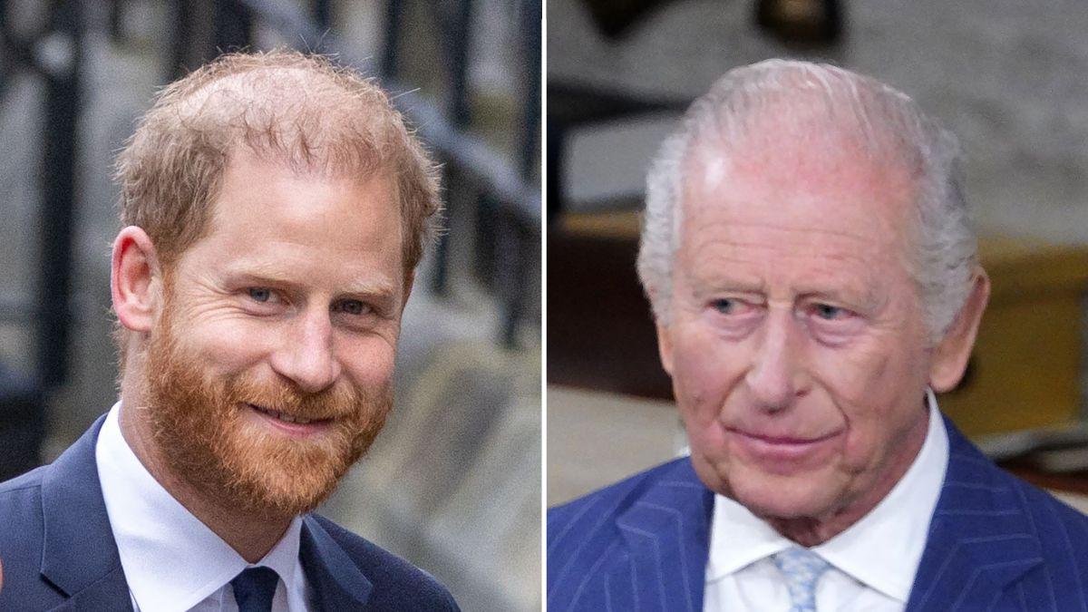picture of Prince Harry and King Charles