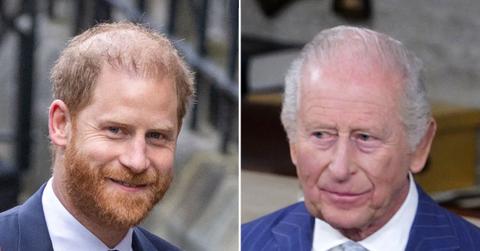 picture of Prince Harry and King Charles
