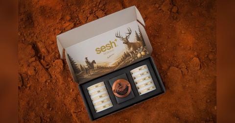 jake paul drops a nicotine pouch with sesh the brand backed by post malone mark wahlberg and the jonas brothers