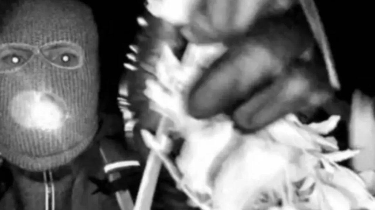image of Nancy Guthrie's home security camera captured an image of a masked man believed to be connected to her disappearance.