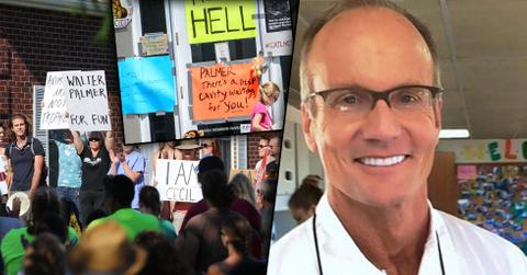Walter Palmer Sexual Harassment