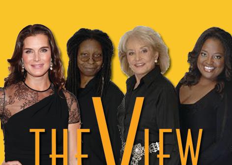 //brooke shields the view square
