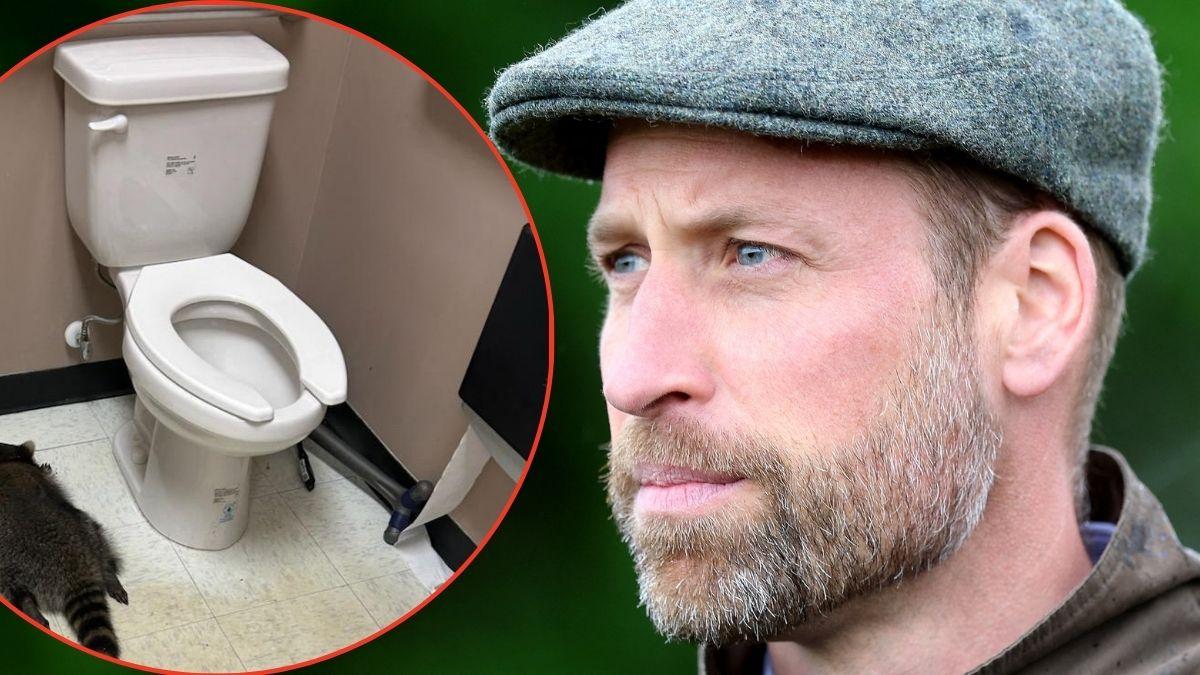 Photo of Prince William