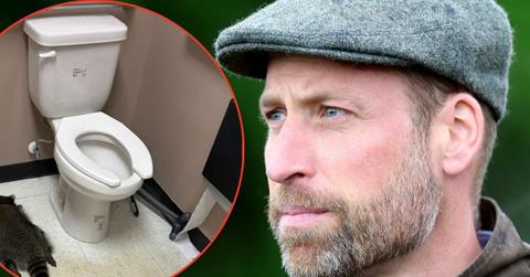 Photo of Prince William