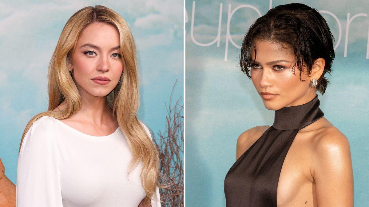 picture of Sydney Sweeney and Zendaya