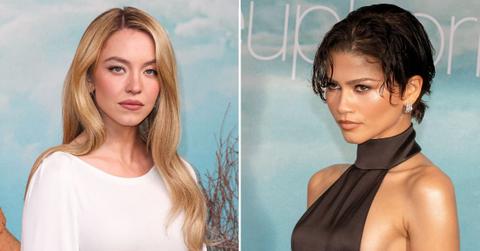 picture of Sydney Sweeney and Zendaya