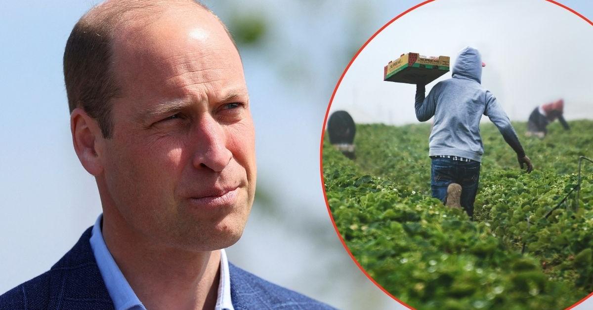 EXCLUSIVE: Why Stressed Farmers are Branding Prince William a 'Hypocrite' Over His Mental Health Drive