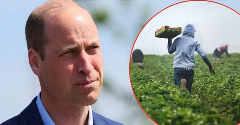 Photo of Prince William and some farmers