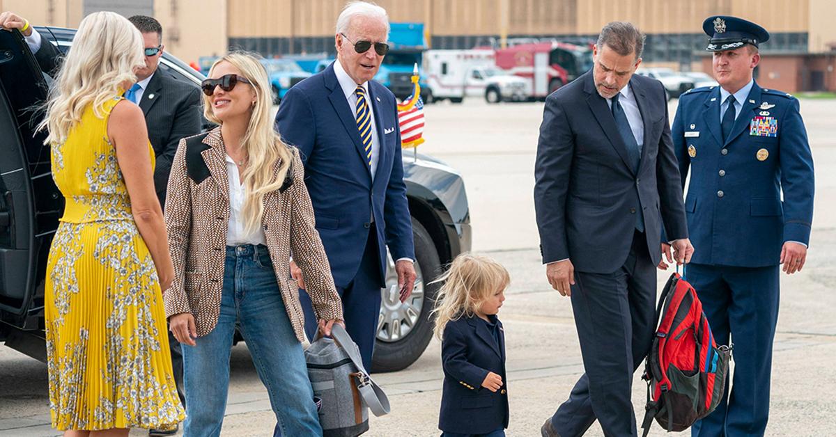 hunter biden child support secret child investigation charges taxes