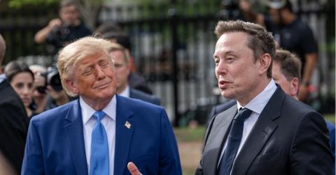 Picture of Donald Trump and Elon Musk