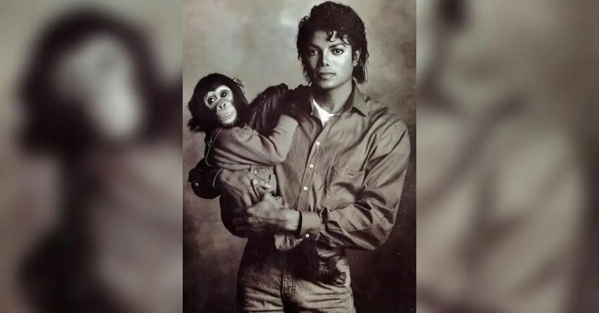 EXCLUSIVE: Michael Jackson's Chimp Bubbles Now Living Quiet Life After 'Giving Up Party Scene' — As He Gets Set to Be Played in New Wacko Biopic
