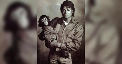 Photo of Michael Jackson and Bubbles