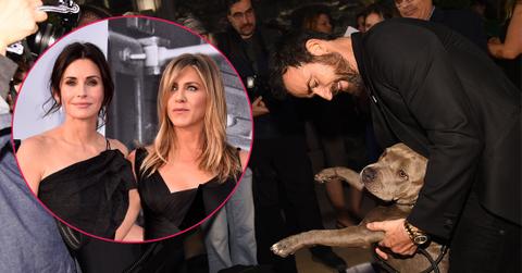 courteney cox applauds justin theroux instagram post pp