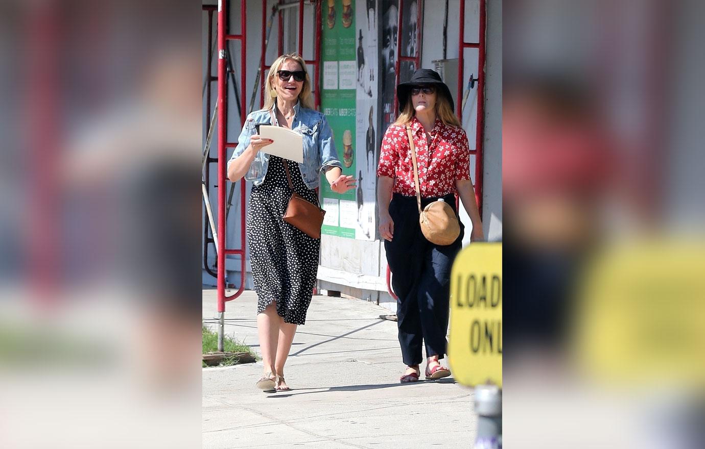 Cameron Diaz and Drew Barrymore Get Together