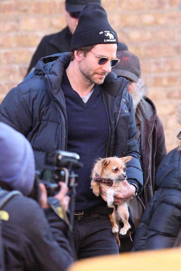 Bradley Cooper & Jennifer Lawrence 'Serena' Premiere