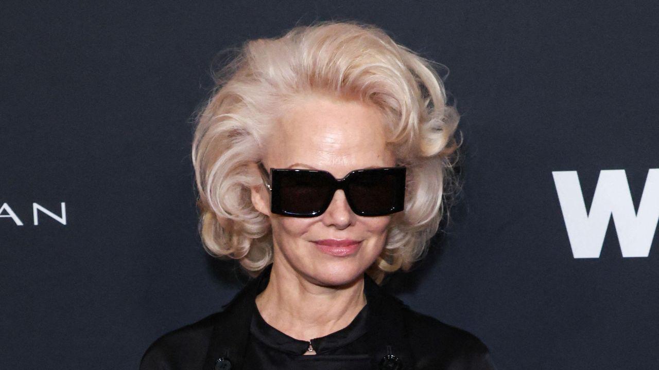 picture of Pamela Anderson