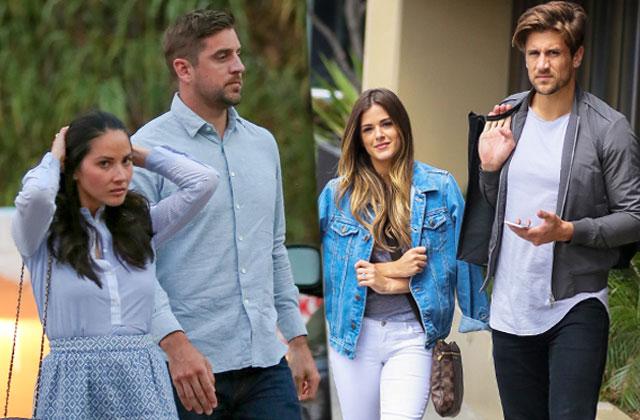 aaron rogers jordan rodgers family feud bachelorette jojo fletcher olivia munn