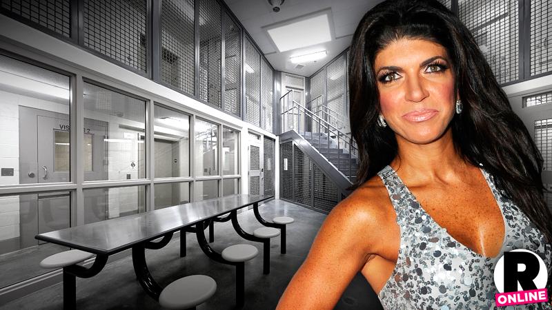 //teresa giudice new lawyer overturned sentencing pp sl