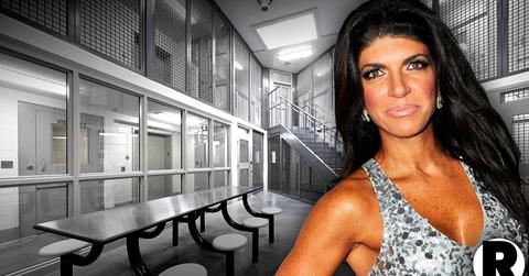 //teresa giudice new lawyer overturned sentencing pp sl